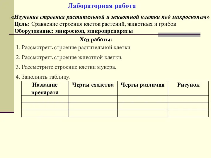 Ход работы: «Изучение строения растительной и животной клетки под микроскопом» Лабораторная