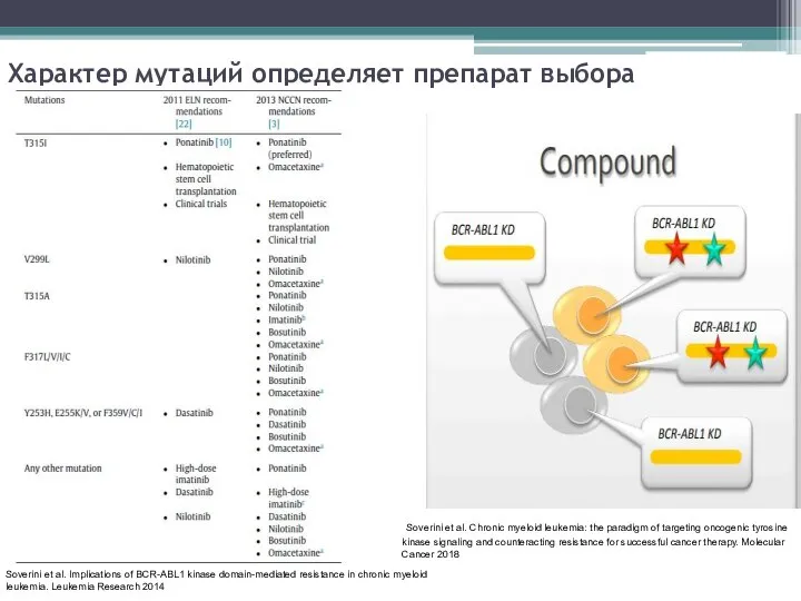 Характер мутаций определяет препарат выбора Soverini et al. Implications of BCR-ABL1