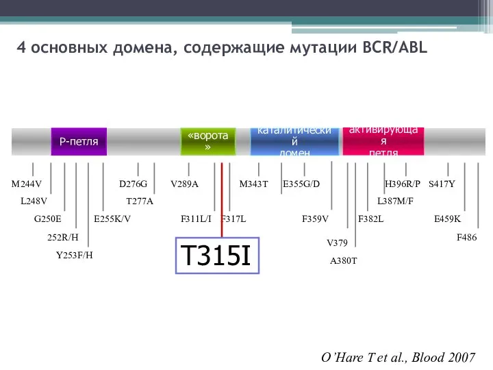 4 основных домена, содержащие мутации BCR/ABL O’Hare T et al., Blood 2007