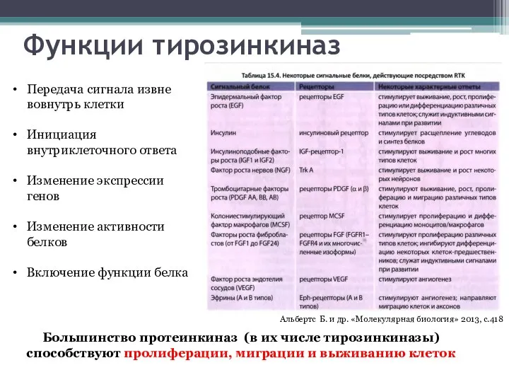 Функции тирозинкиназ Альбертс Б. и др. «Молекулярная биология» 2013, с.418 Передача