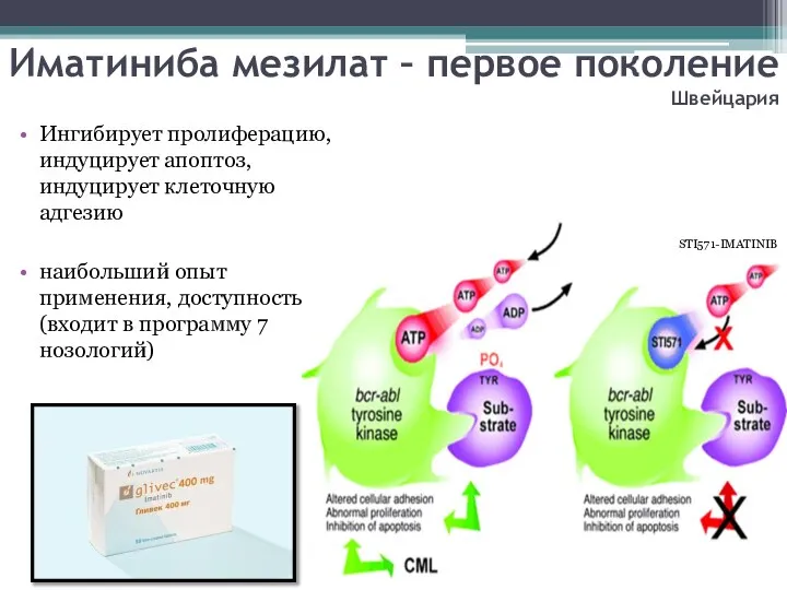 Иматиниба мезилат – первое поколение Швейцария Ингибирует пролиферацию, индуцирует апоптоз, индуцирует