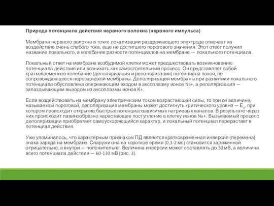 Природа потенциала действия нервного волокна (нервного импульса) Мембрана нервного волокна в