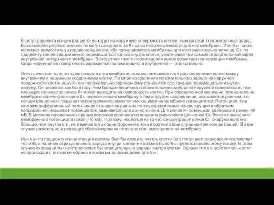 В силу градиента концентраций К+ выходит на наружную поверхность клетки, вынося