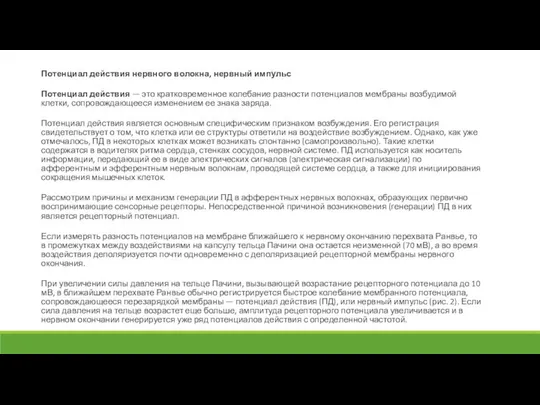 Потенциал действия нервного волокна, нервный импульс Потенциал действия — это кратковременное