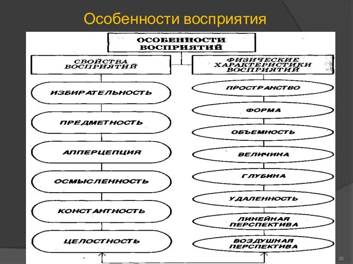 Особенности восприятия