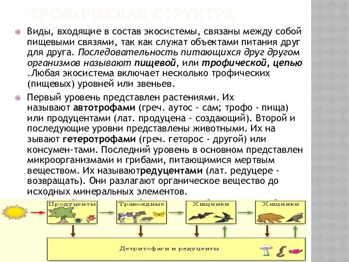 ТРОФИЧЕСКАЯ СТРУКТРА Виды, входящие в состав экосистемы, связаны между собой пищевыми