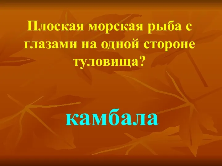 Плоская морская рыба с глазами на одной стороне туловища? камбала