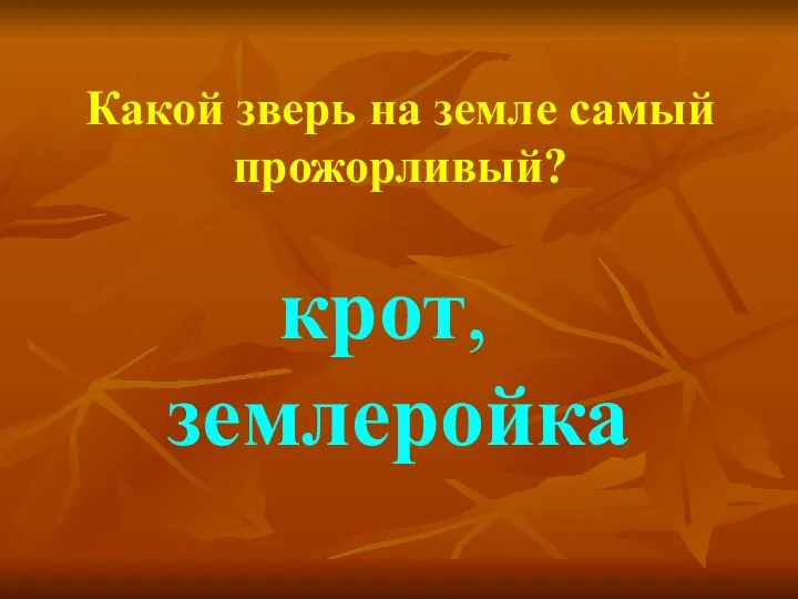 Какой зверь на земле самый прожорливый? крот, землеройка