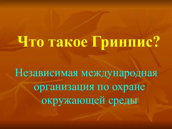 Что такое Гринпис? Независимая международная организация по охране окружающей среды