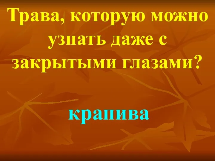 Трава, которую можно узнать даже с закрытыми глазами? крапива