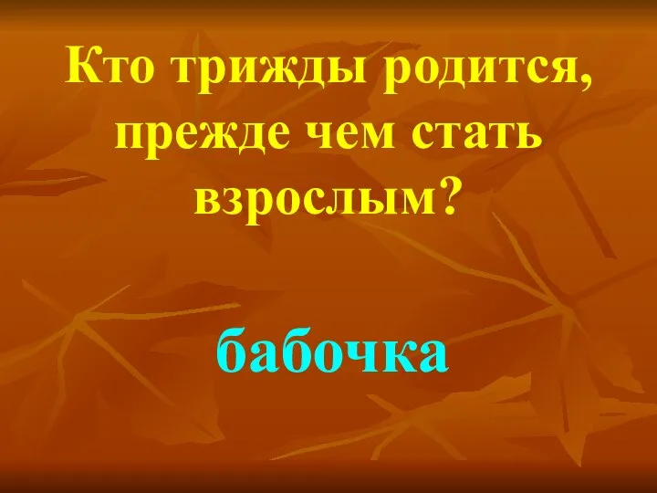 Кто трижды родится, прежде чем стать взрослым? бабочка