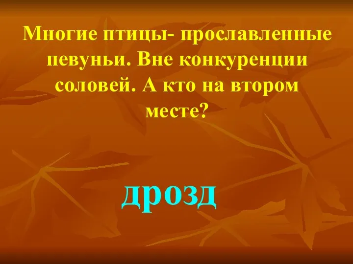 Многие птицы- прославленные певуньи. Вне конкуренции соловей. А кто на втором месте? дрозд