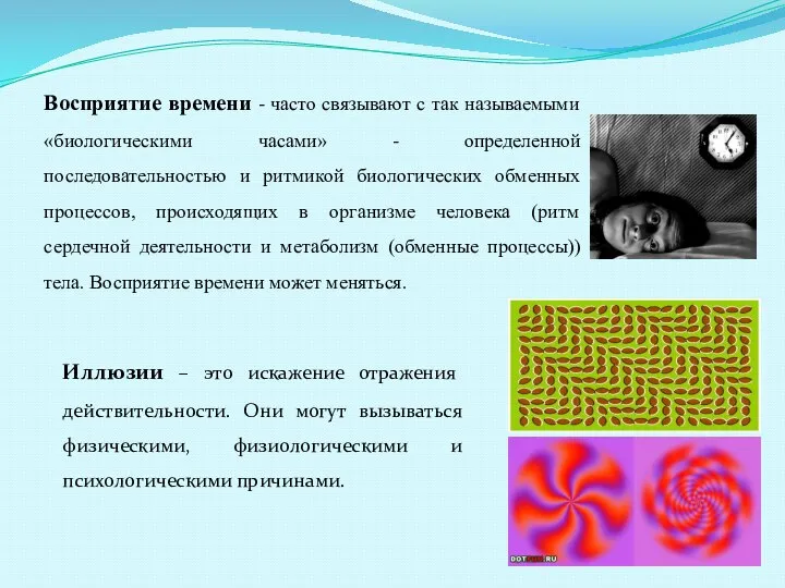 Восприятие времени - часто связывают с так называемыми «биологическими часами» -