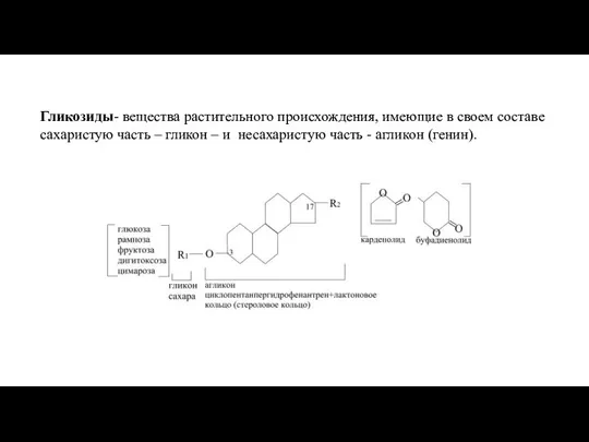 Гликозиды- вещества растительного происхождения, имеющие в своем составе сахаристую часть –