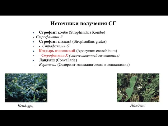 Источники получения СГ Строфант комбе (Strophanthus Kombe) - Строфантин К Строфант