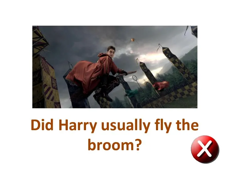 Did Harry usually fly the broom?
