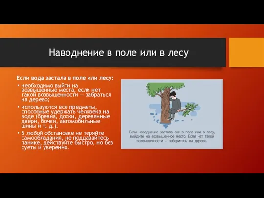 Наводнение в поле или в лесу Если вода застала в поле