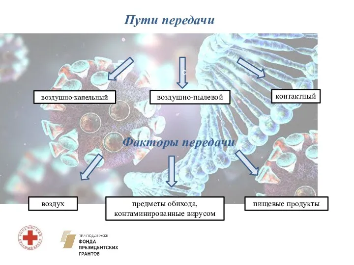 Пути передачи Факторы передачи воздушно-капельный с воздушно-пылевой контактный воздух пищевые продукты предметы обихода, контаминированные вирусом