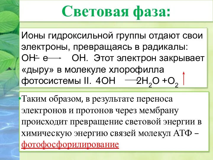 Ионы гидроксильной группы отдают свои электроны, превращаясь в радикалы: ОН- е