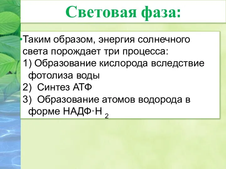 Таким образом, энергия солнечного света порождает три процесса: 1) Образование кислорода