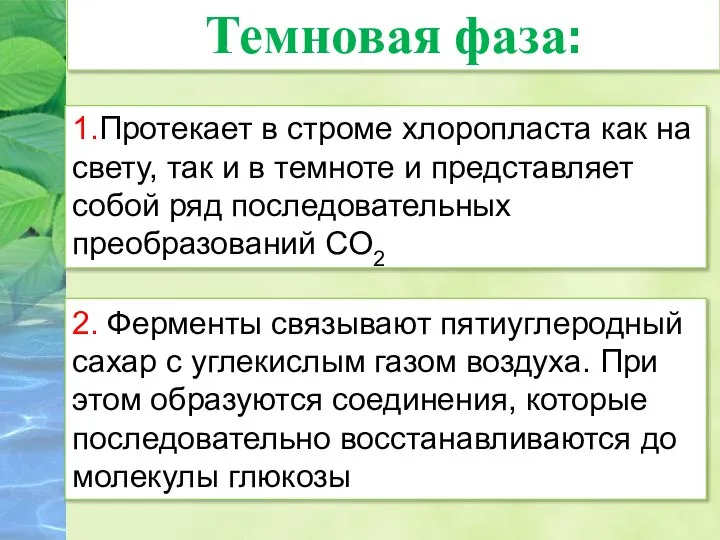 1.Протекает в строме хлоропласта как на свету, так и в темноте