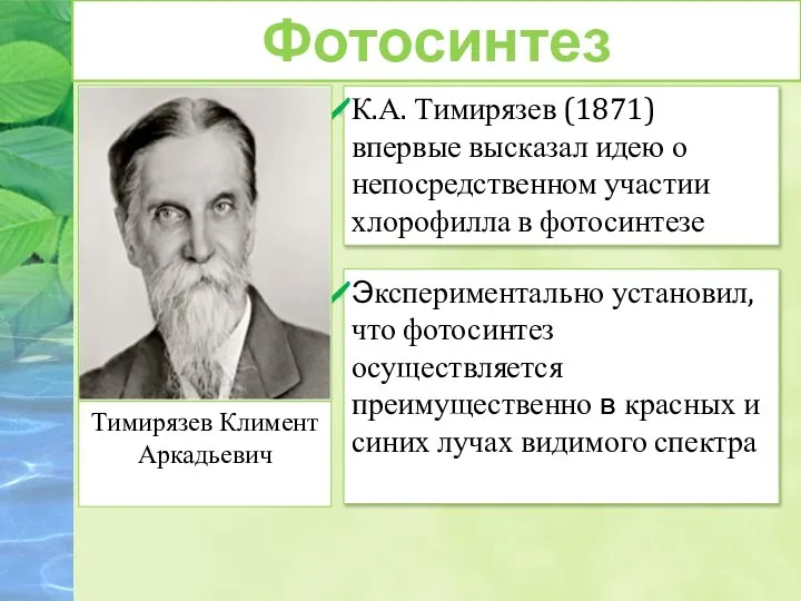 Фотосинтез К.А. Тимирязев (1871) впервые высказал идею о непосредственном участии хлорофилла