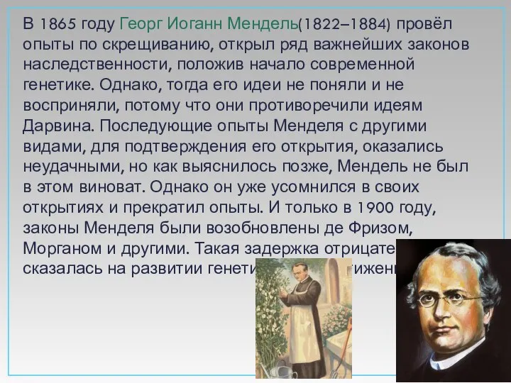 В 1865 году Георг Иоганн Мендель(1822–1884) провёл опыты по скрещиванию, открыл
