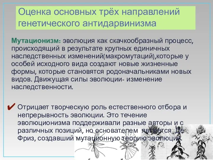 Оценка основных трёх направлений генетического антидарвинизма Мутационизм: эволюция как скачкообразный процесс,