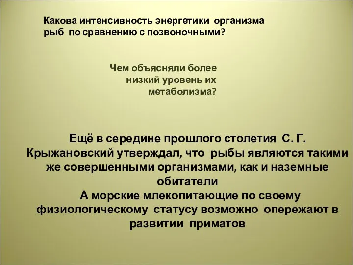 Чем объясняли более низкий уровень их метаболизма? Какова интенсивность энергетики организма