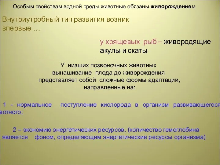 Особым свойствам водной среды животные обязаны живорождением Внутриутробный тип развития возник