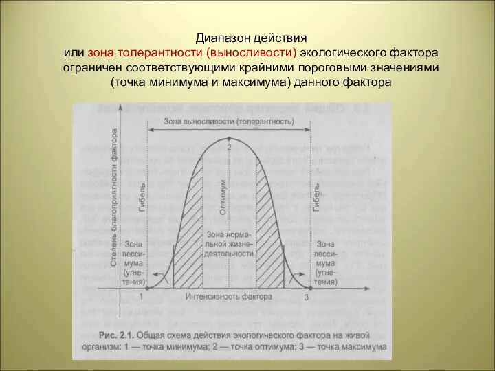 Диапазон действия или зона толерантности (выносливости) экологического фактора ограничен соответствующими крайними