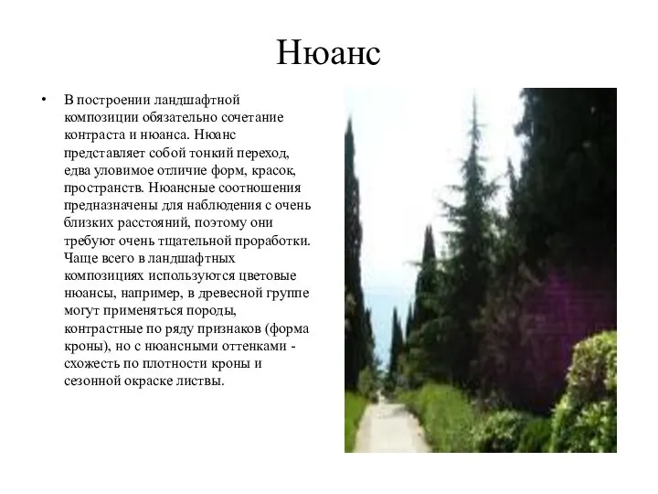 Нюанс В построении ландшафтной композиции обязательно сочетание контраста и нюанса. Нюанс