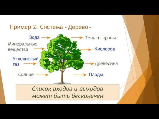 Пример 2. Система «Дерево» Список входов и выходов может быть бесконечен