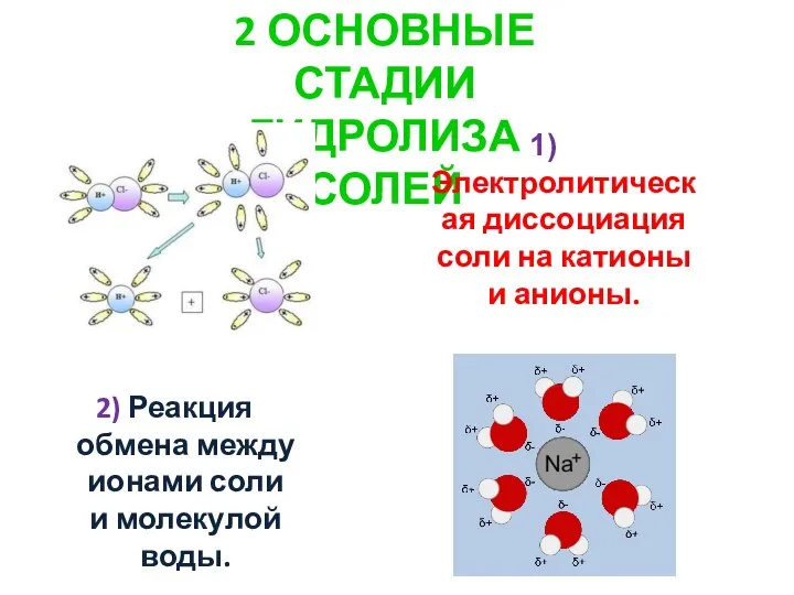 2 ОСНОВНЫЕ СТАДИИ ГИДРОЛИЗА СОЛЕЙ Электролитическая диссоциация соли на катионы и