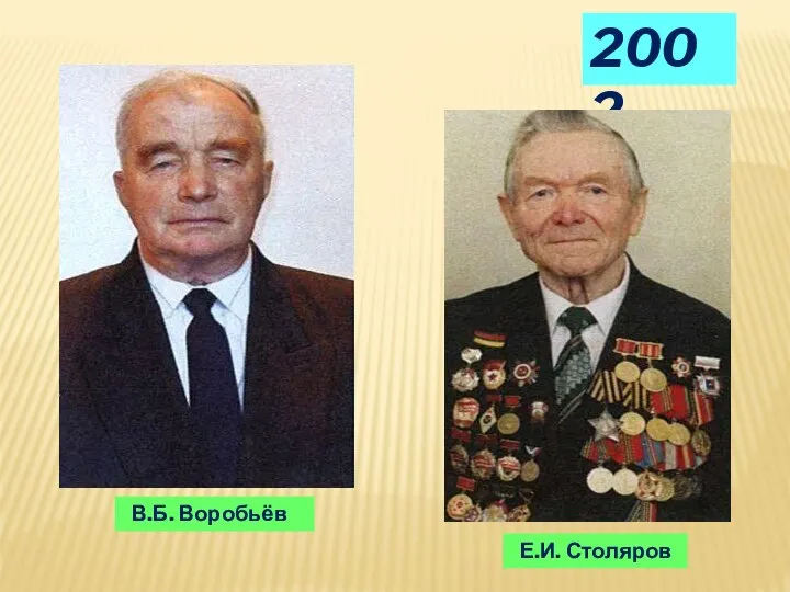 2002 В.Б. Воробьёв Е.И. Столяров