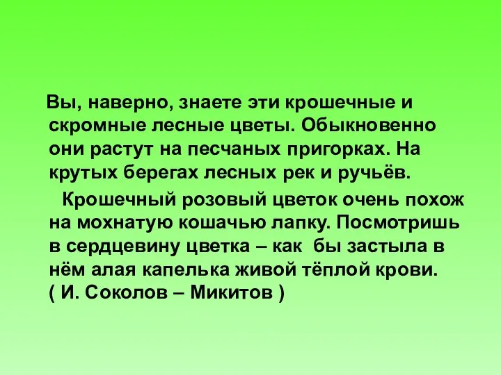 Вы, наверно, знаете эти крошечные и скромные лесные цветы. Обыкновенно они