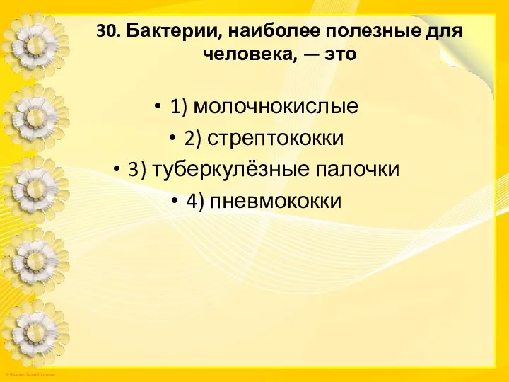 30. Бактерии, наиболее полезные для человека, — это 1) молочнокислые 2)