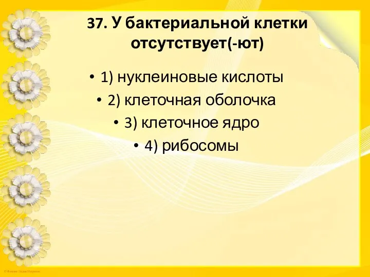 37. У бактериальной клетки отсутствует(-ют) 1) нуклеиновые кислоты 2) клеточная оболочка 3) клеточное ядро 4) рибосомы