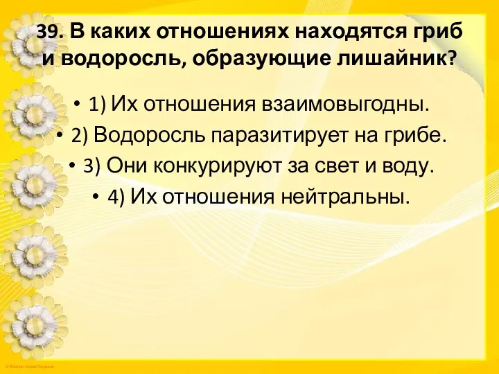 39. В каких отношениях находятся гриб и водоросль, образующие лишайник? 1)