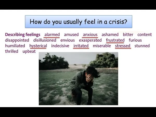 How do you usually feel in a crisis?