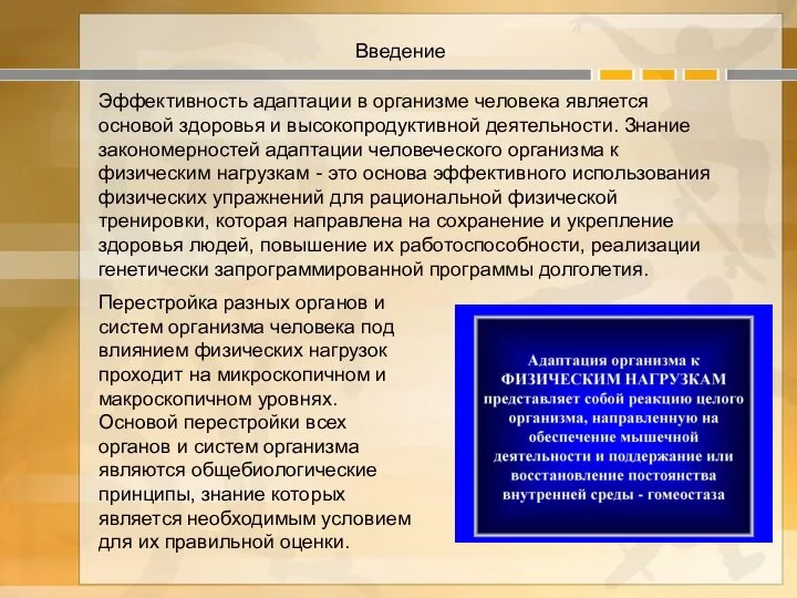 Эффективность адаптации в организме человека является основой здоровья и высокопродуктивной деятельности.