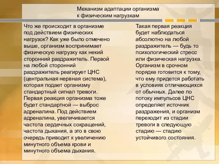 Механизм адаптации организма к физическим нагрузкам Что же происходит в организме