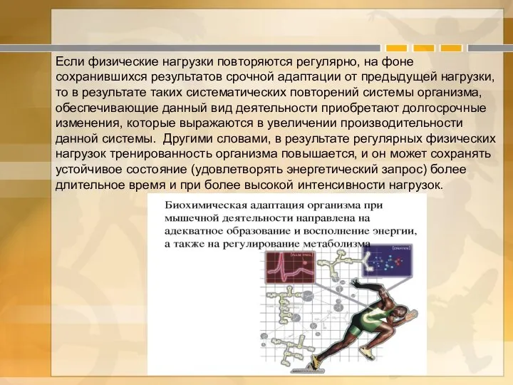 Если физические нагрузки повторяются регулярно, на фоне сохранившихся результатов срочной адаптации