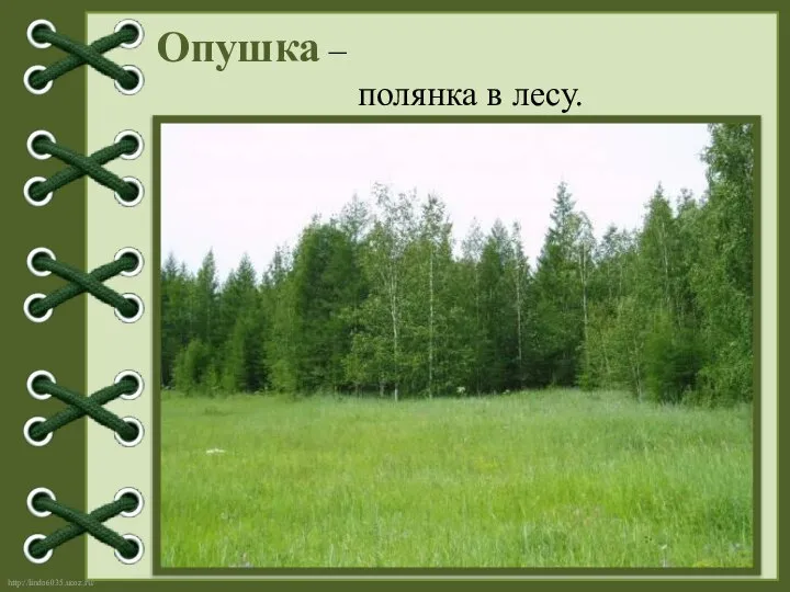 Опушка – полянка в лесу.