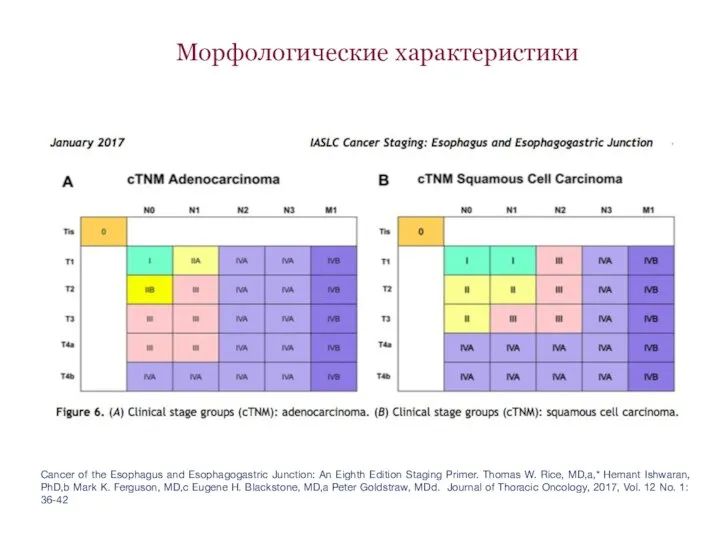 Морфологические характеристики Cancer of the Esophagus and Esophagogastric Junction: An Eighth