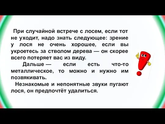 При случайной встрече с лосем, если тот не уходит, надо знать