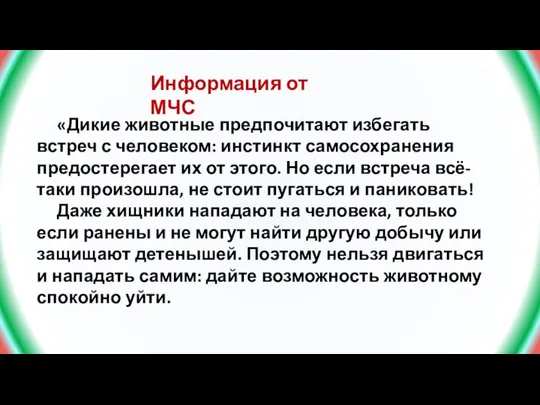 «Дикие животные предпочитают избегать встреч с человеком: инстинкт самосохранения предостерегает их