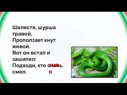 Шелестя, шурша травой, Проползает кнут живой. Вот он встал и зашипел: Подходи, кто очень смел. змея