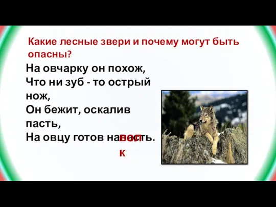 Какие лесные звери и почему могут быть опасны? На овчарку он