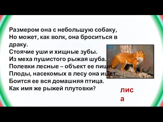 Размером она с небольшую собаку, Но может, как волк, она броситься